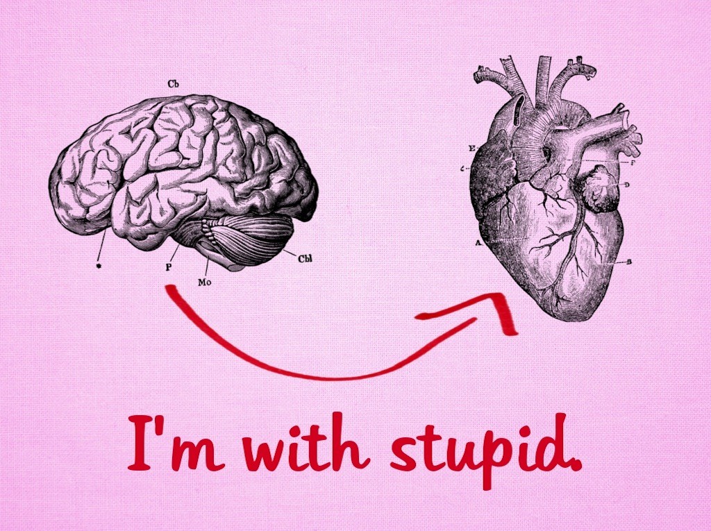 i'm with stupid